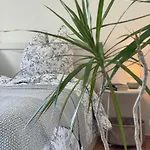 Utes Stube Apartmán Neuwied