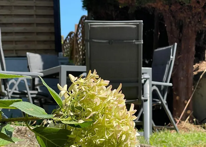 Utes Stube 新维德